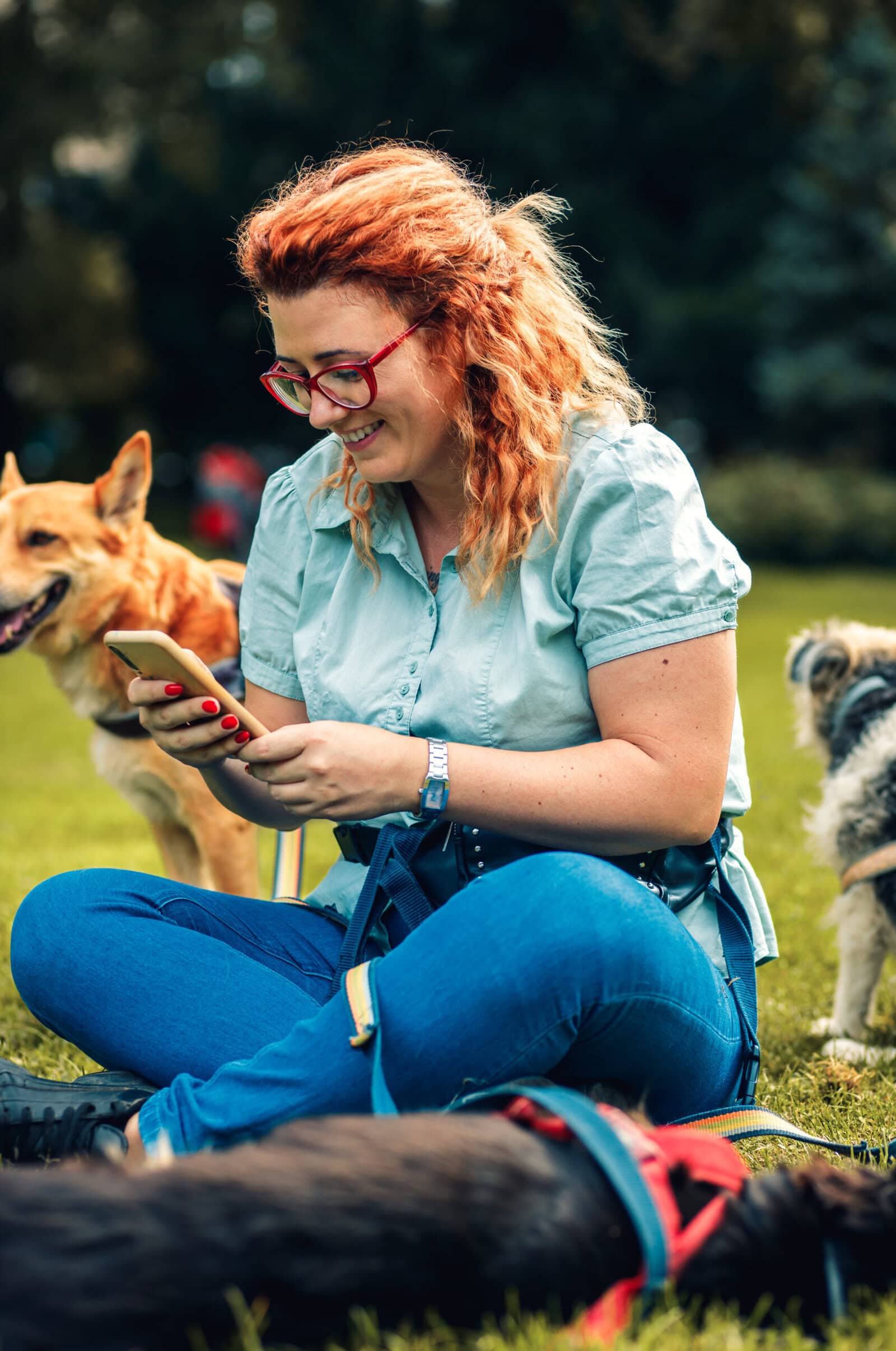 Female dog walker with dogs enjoying in city park while looking at phone.