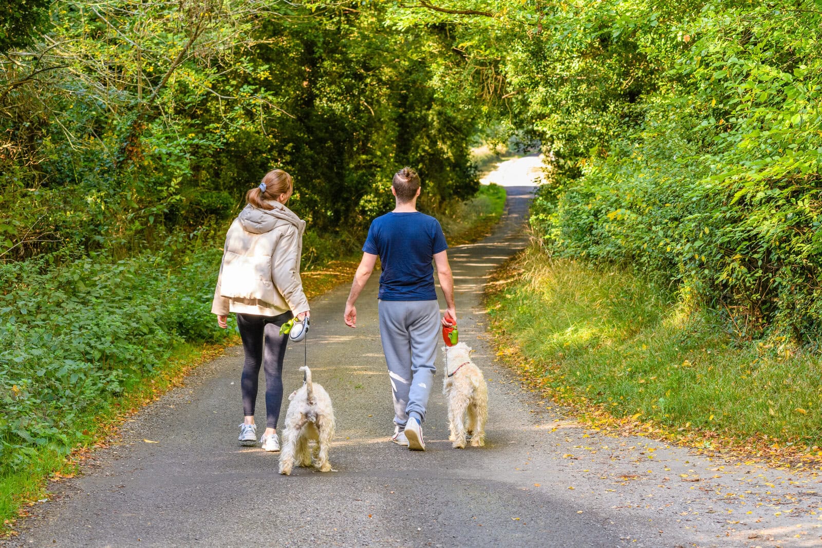 Social-Walks-Hundeschule-50