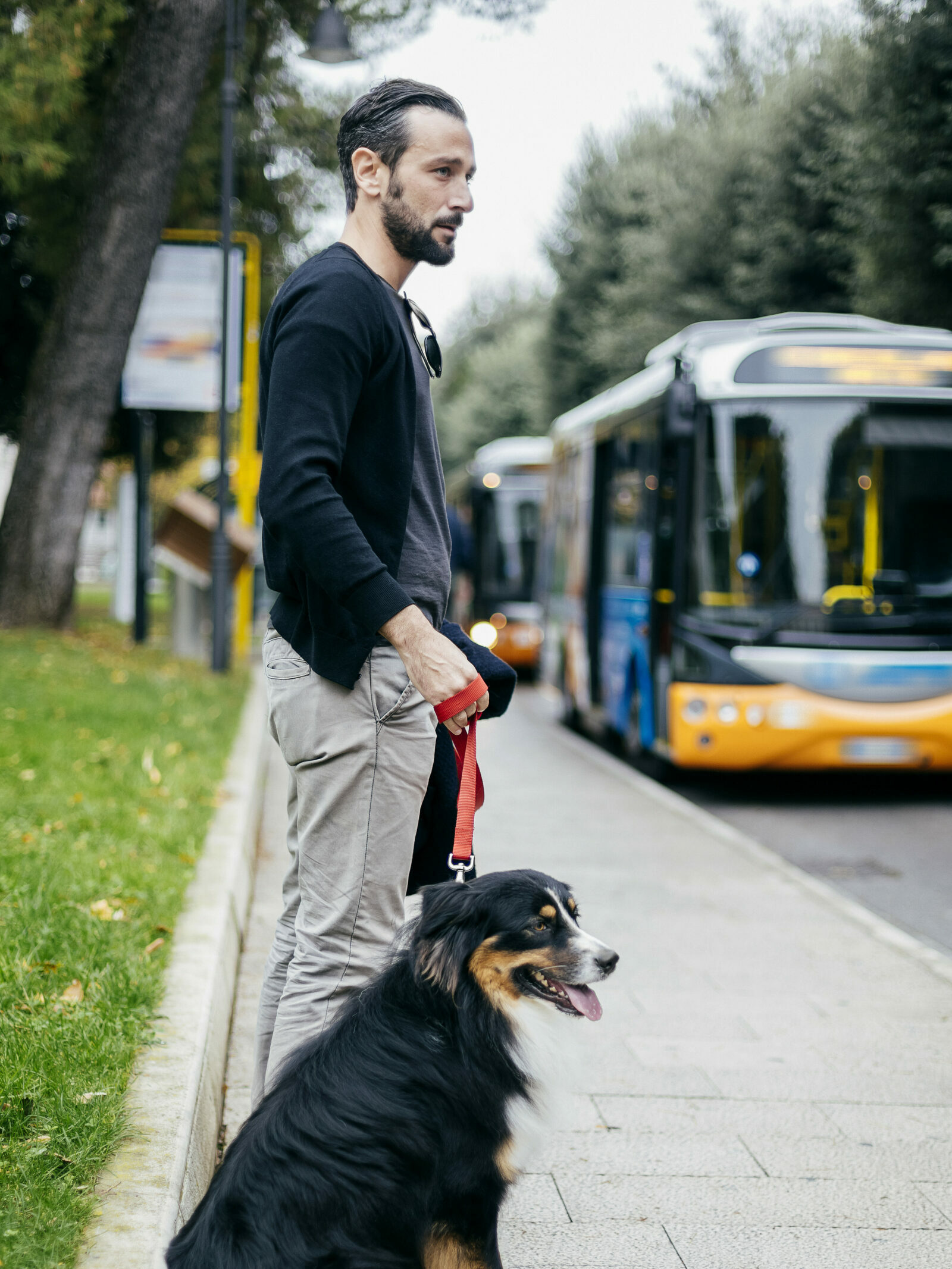 Mid adult man waiting with pet dog at city sidewalk
